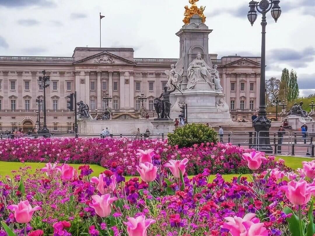 buckingham palace