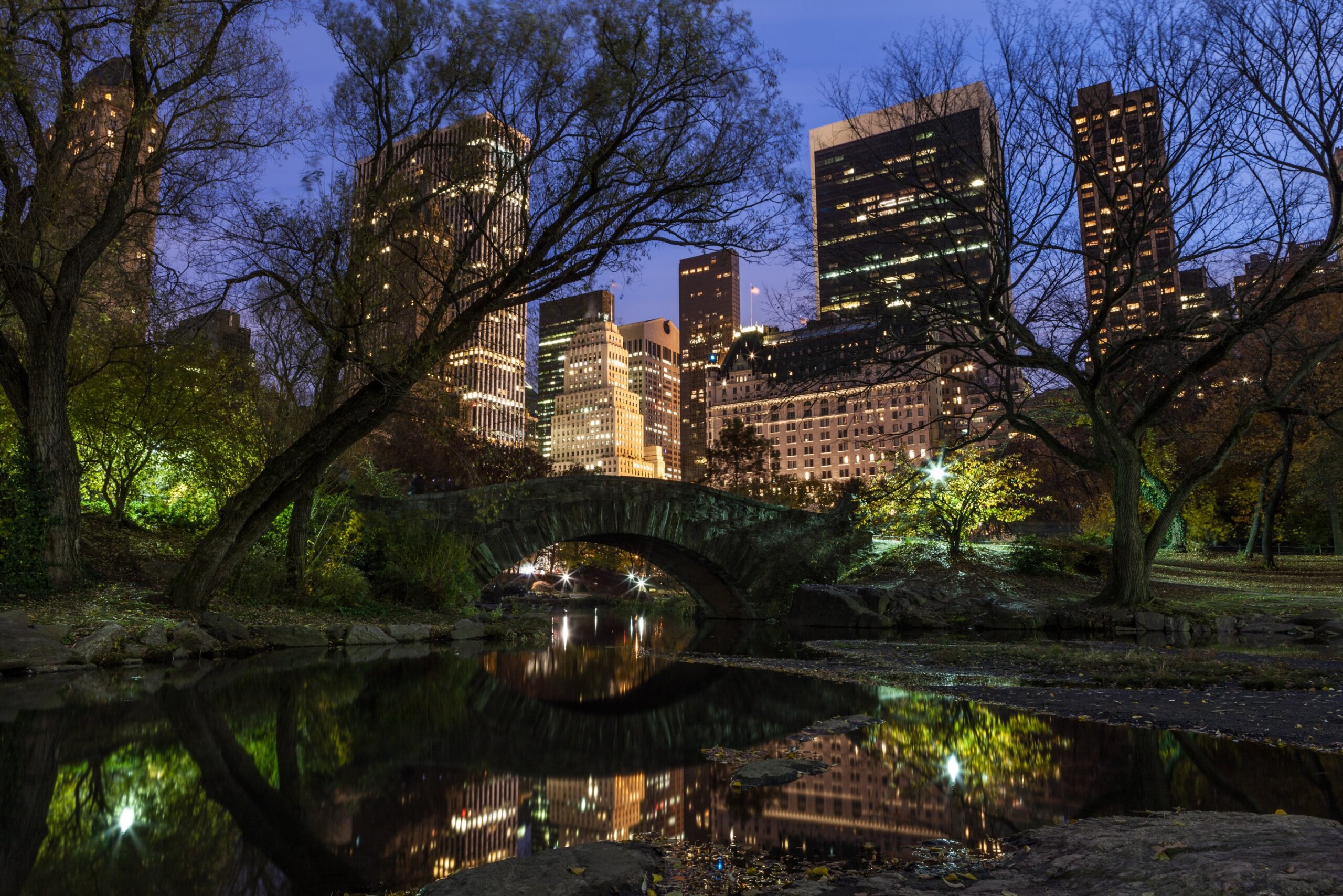 The pond in Central Park, NY at night.