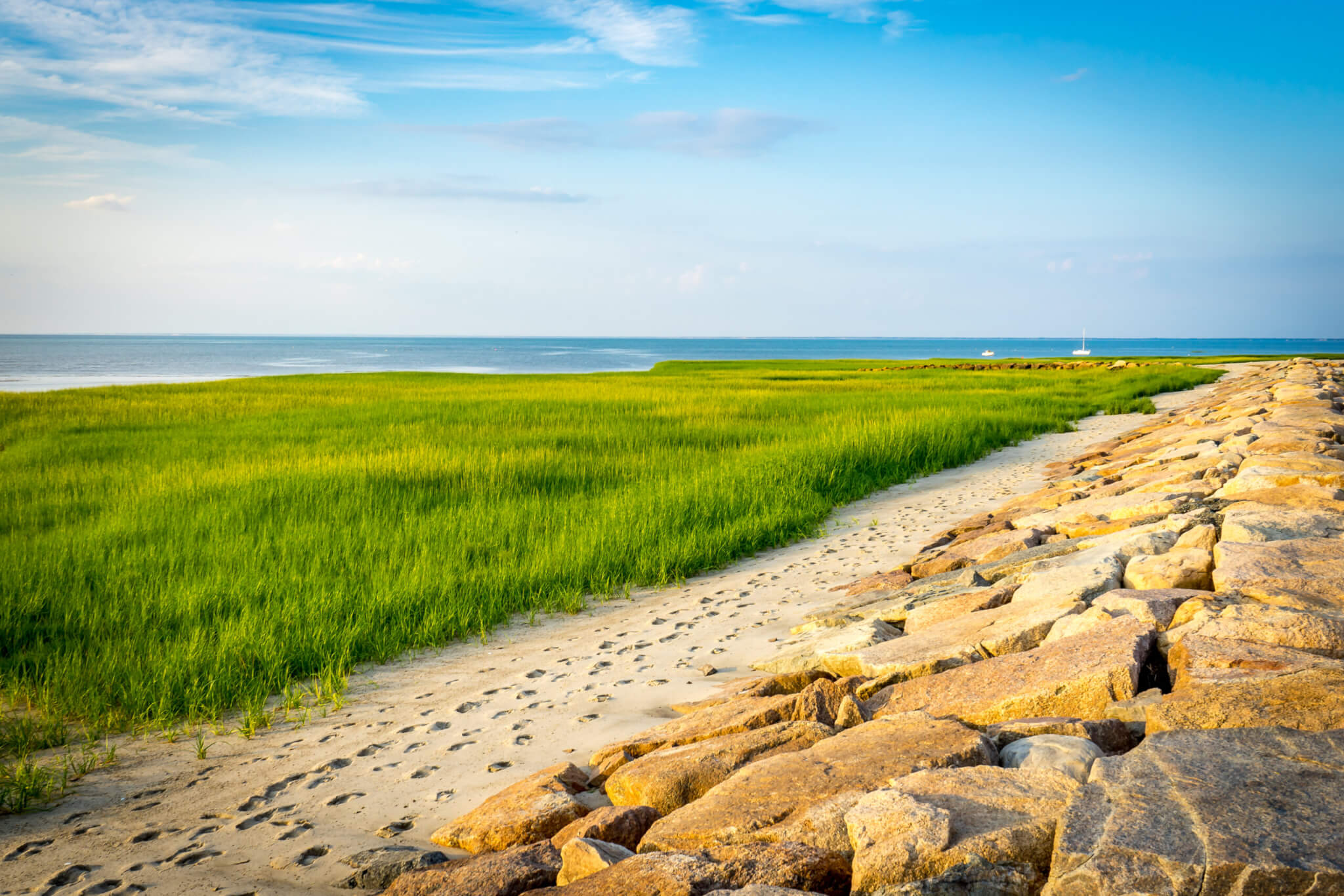 Cape Cod Beach