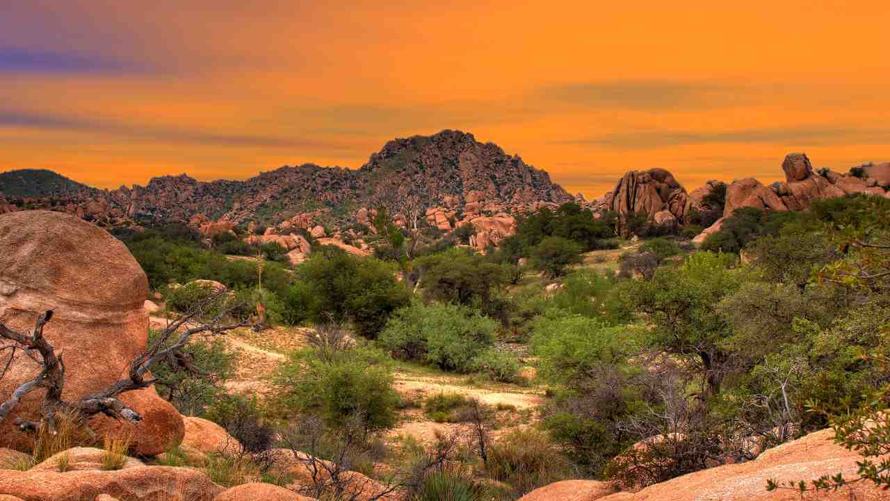 sunset in the desert with rocks and trees