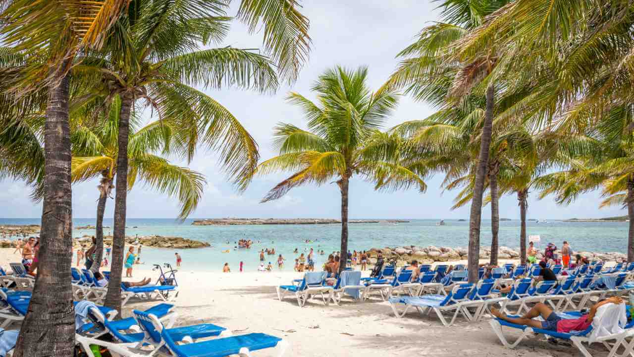 a beach with lounge chairs and palm trees