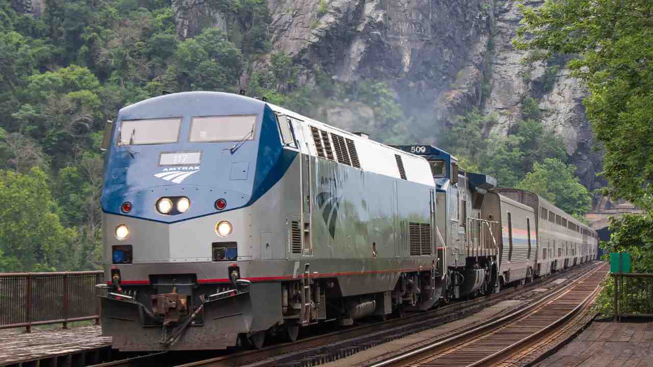 an Amtrak train traveling through a wooded area