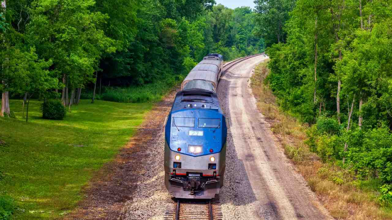 an amtrak train traveling down the tracks in a wooded area