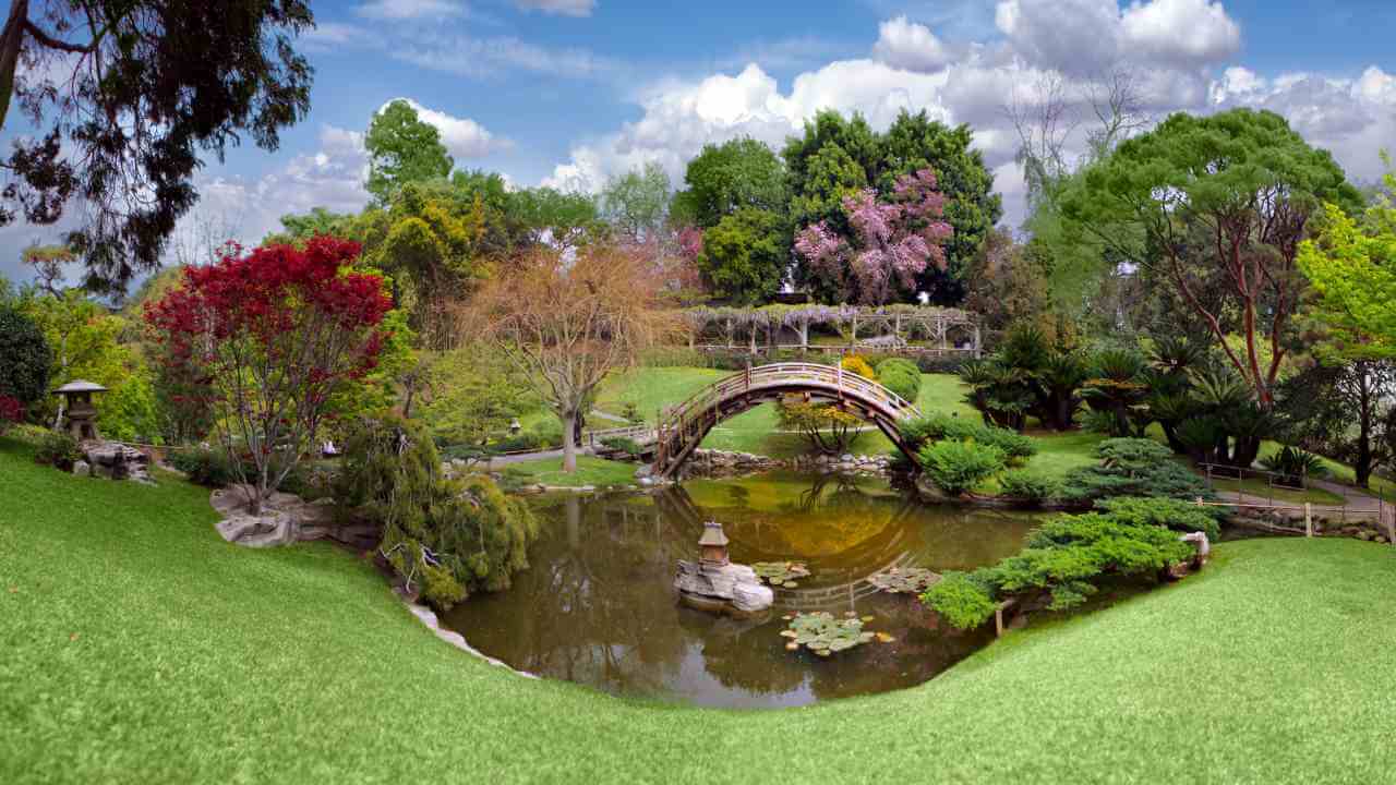 An garden with a bridge over a pond