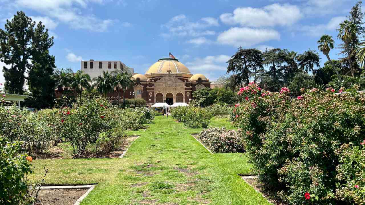 garden with building in background