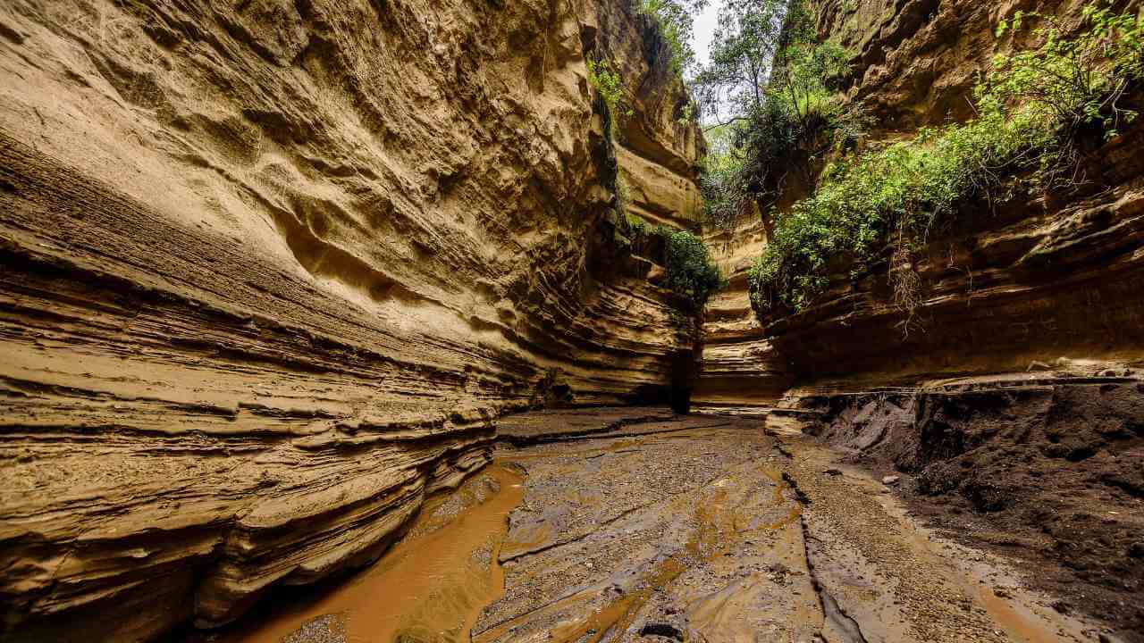 a narrow canyon in the middle of a canyon