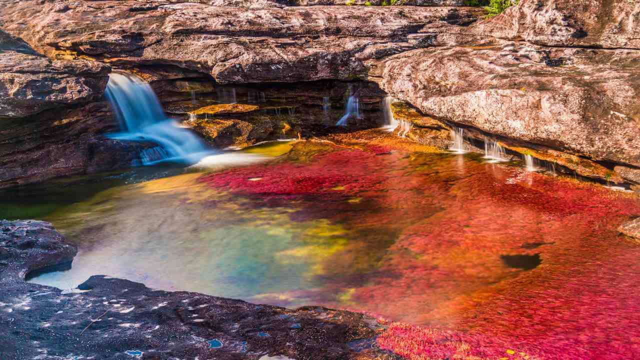 a waterfall in the middle of a forest with colorful water