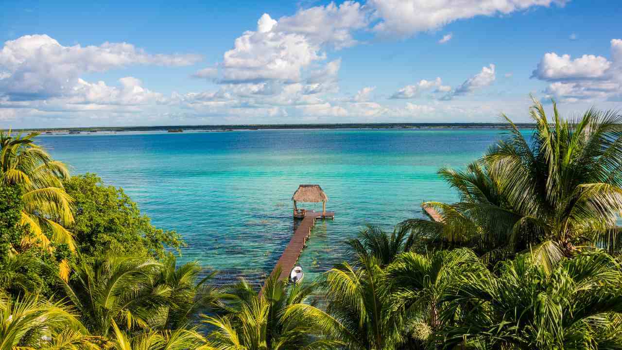 tropical paradise in Cancun, Mexico - cenotes stock videos & royalty-free footage