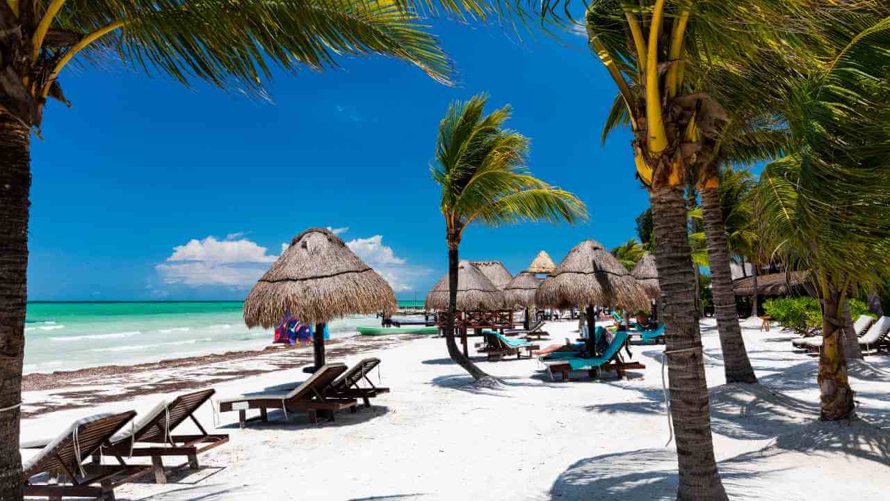 beach chairs and umbrellas line the shore of a tropical island