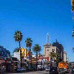 a city street with palm trees and neon signs