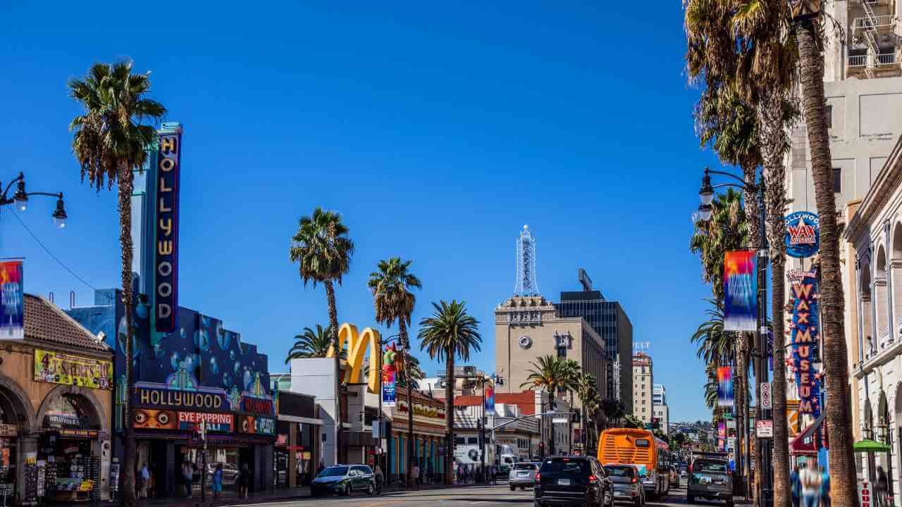 a city street with palm trees and neon signs