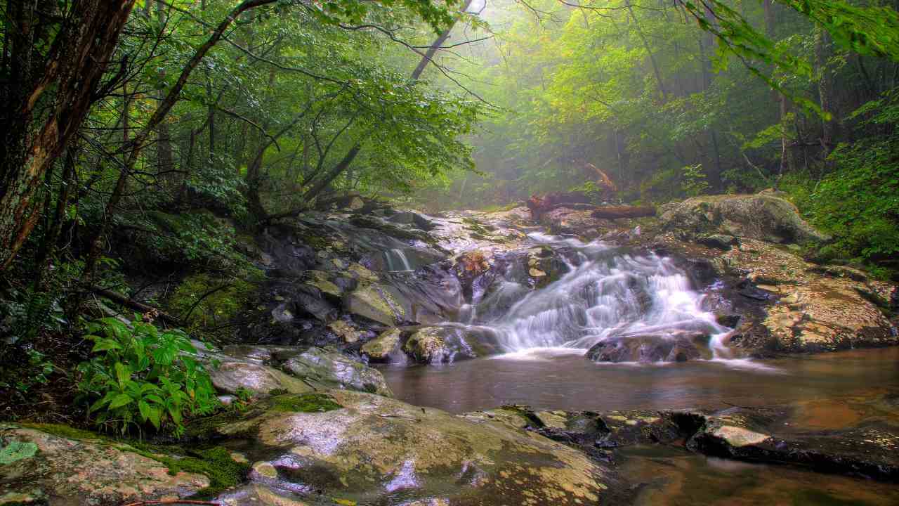 White Oak Canyon Trail, Shenandoah National Park, Virginia