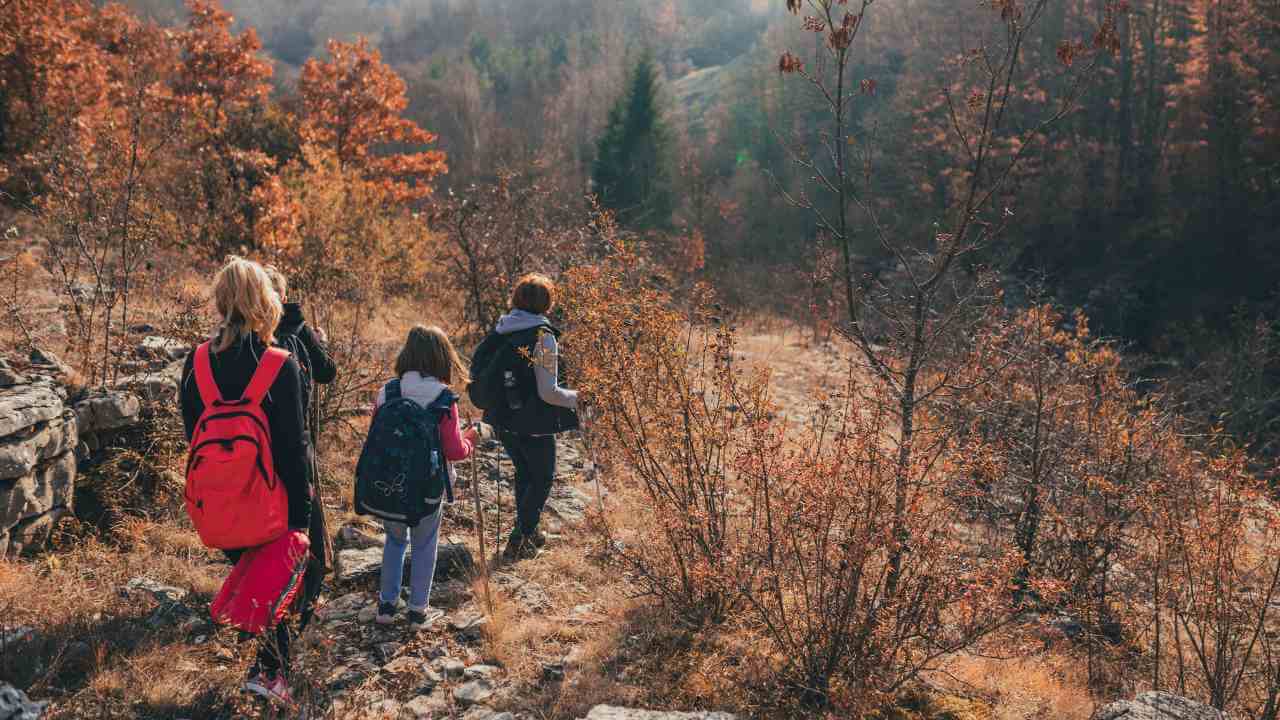 three people with backpacks walking on a trail in the woods