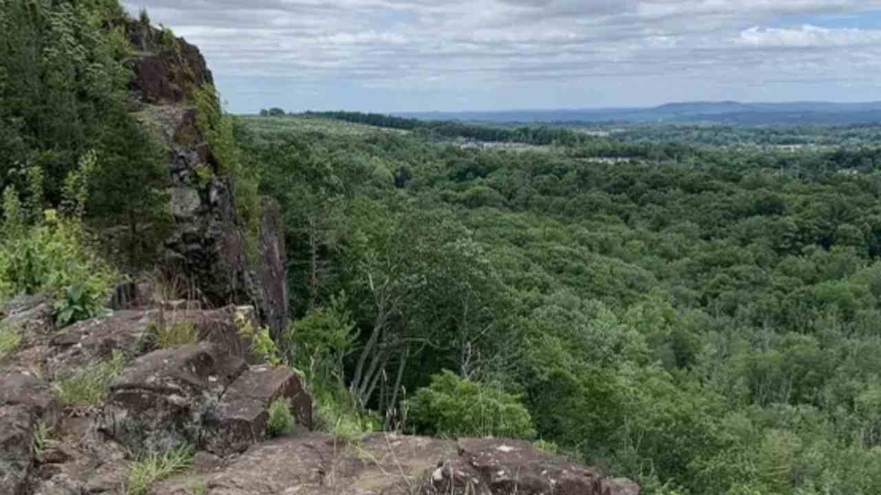 the view from the top of a cliff overlooking a forest