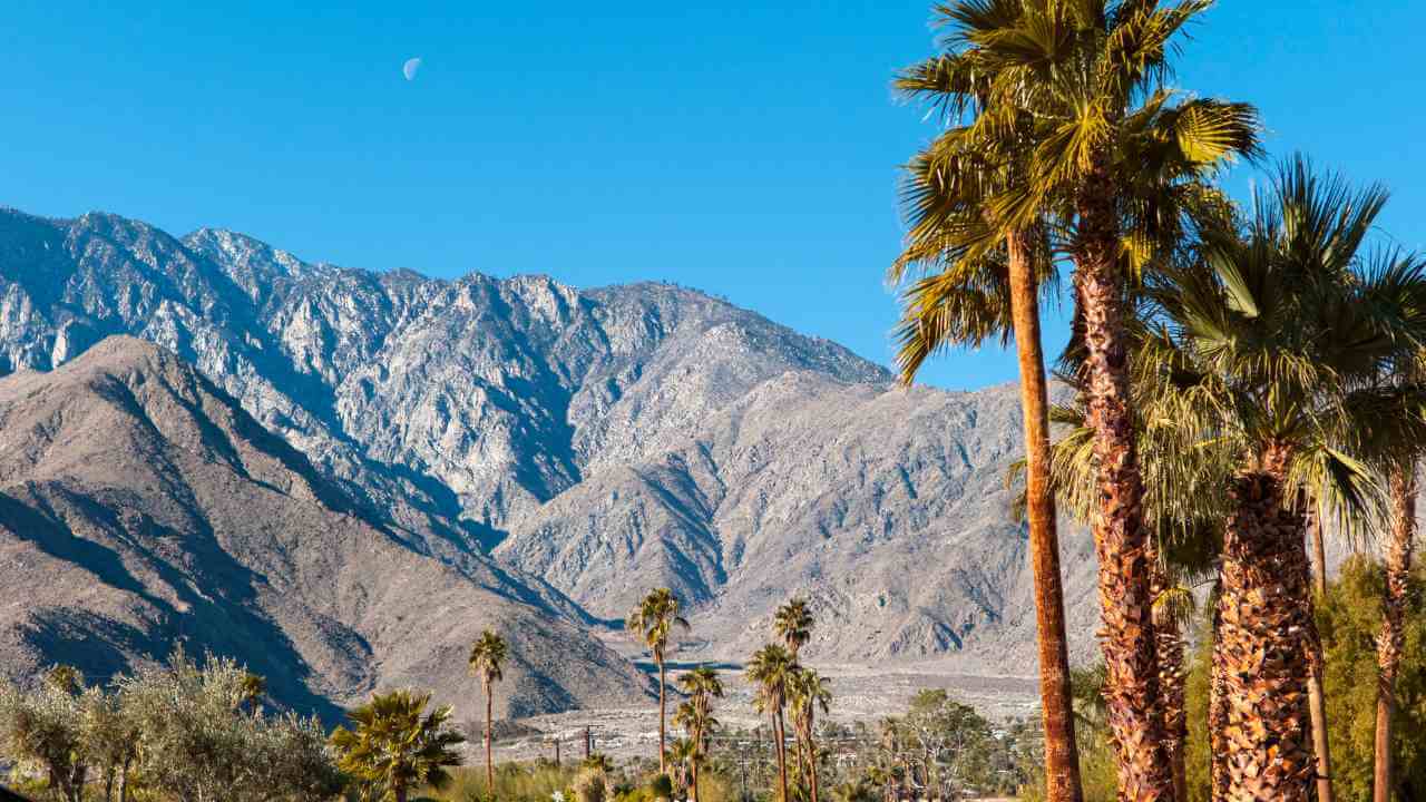 palm springs, california - palm springs stock videos & royalty-free footage