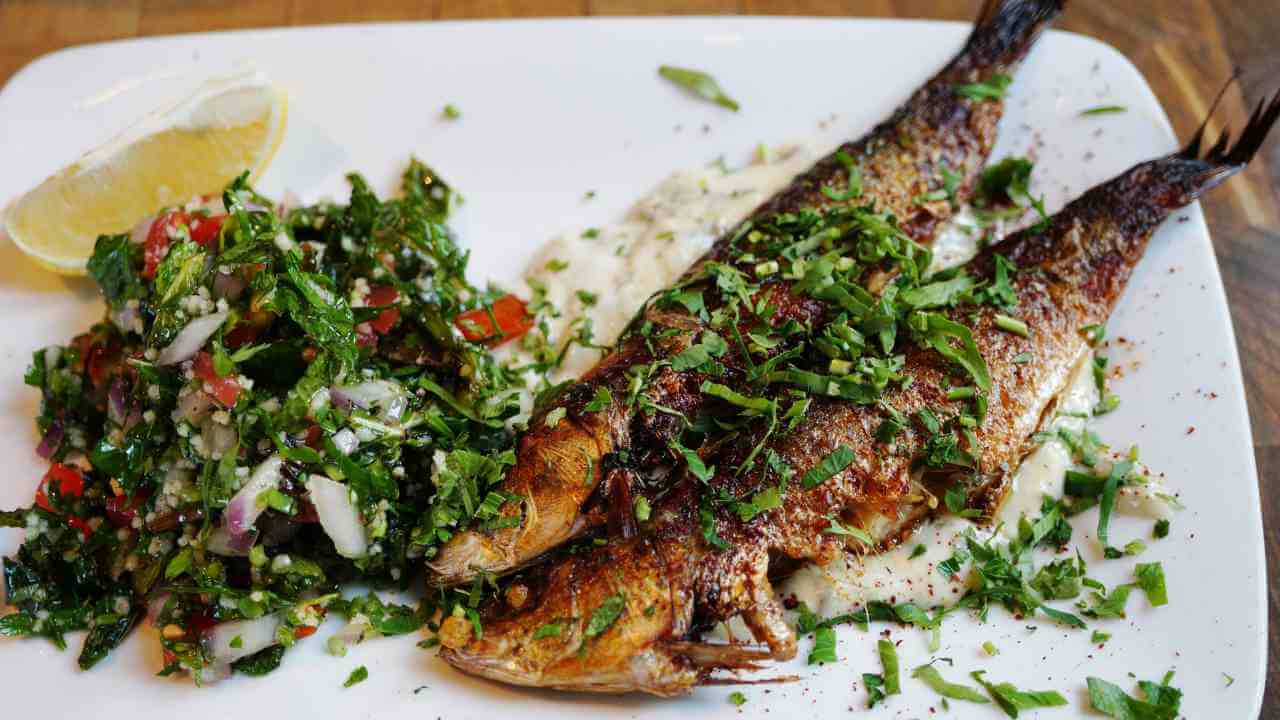 grilled fish and salad on a white plate