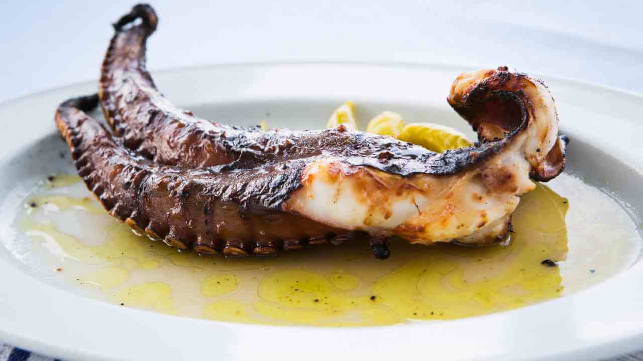 an octopus on a white plate with lemon slices