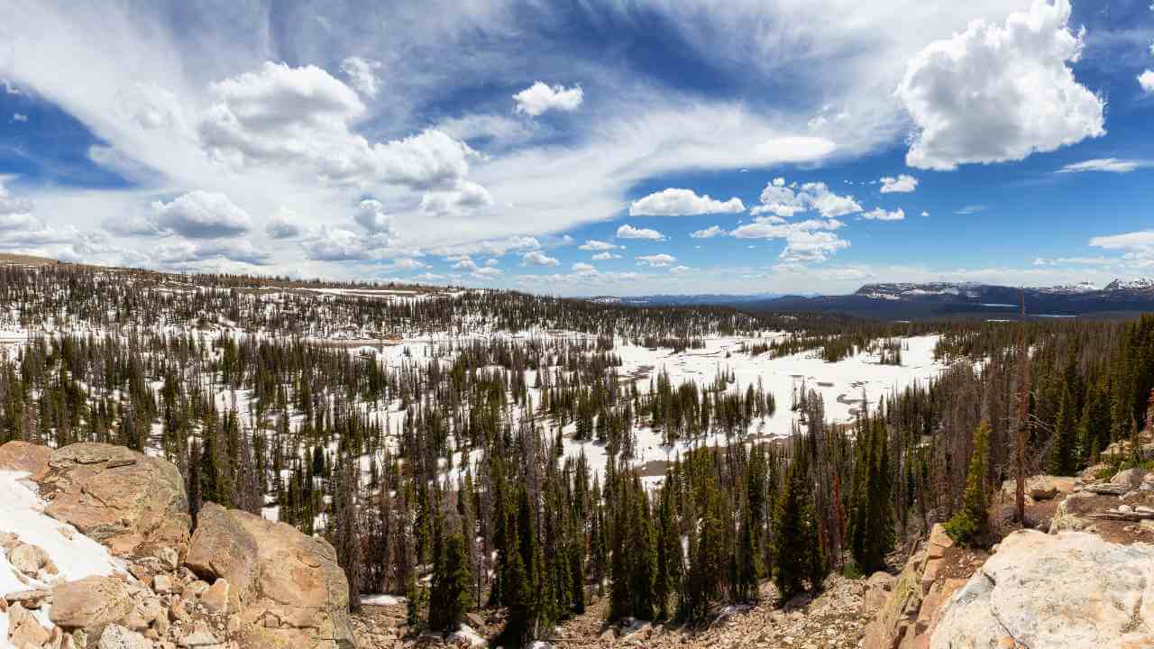 a panoramic view of the mountains and trees