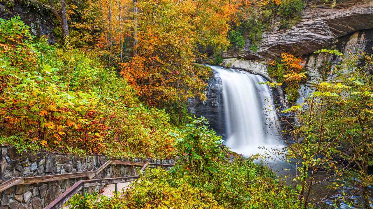 a waterfall surrounded by fall foliage in the fall