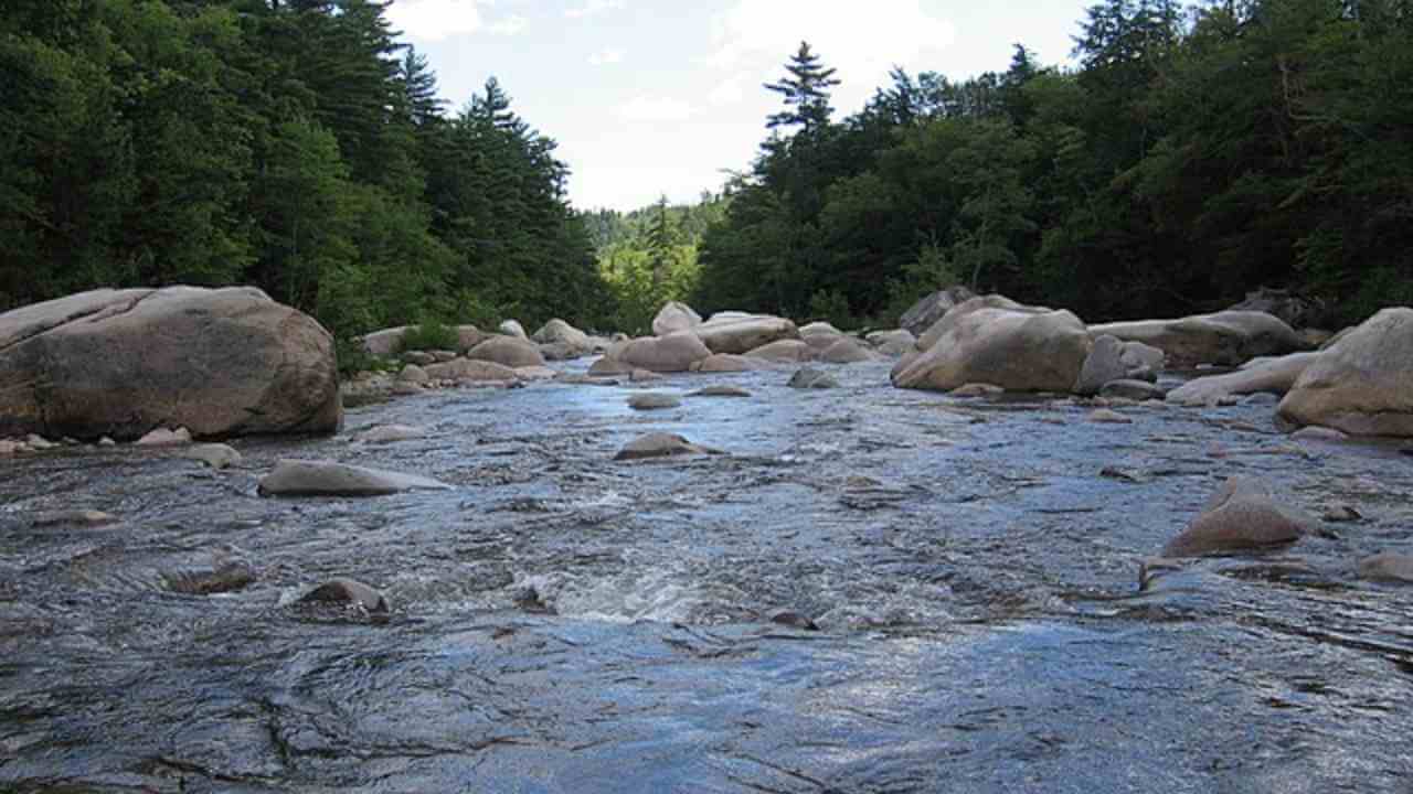 a river flowing through a wooded area with rocks and trees