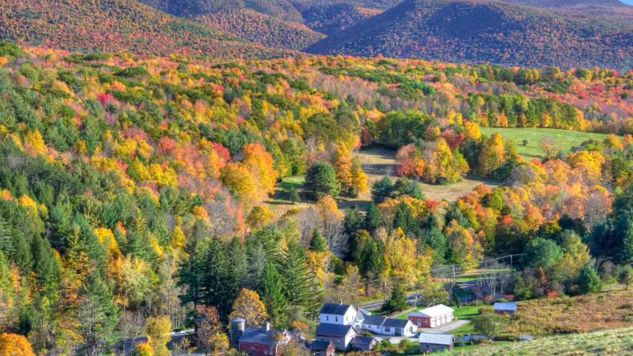 a scenic view of fall foliage in the white mountains of new hampshire