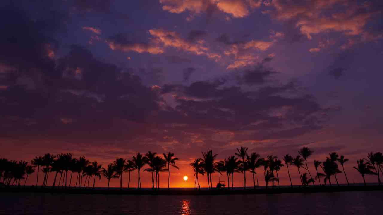 palm trees are silhouetted against a purple sky at sunset