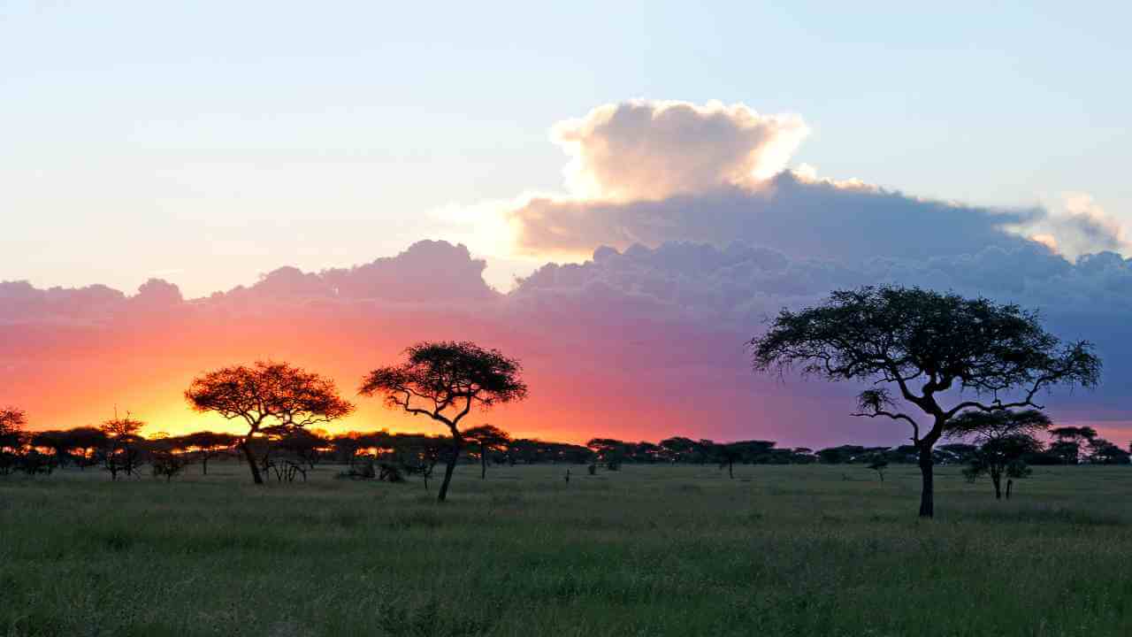 the sun is setting behind some clouds in the savannah