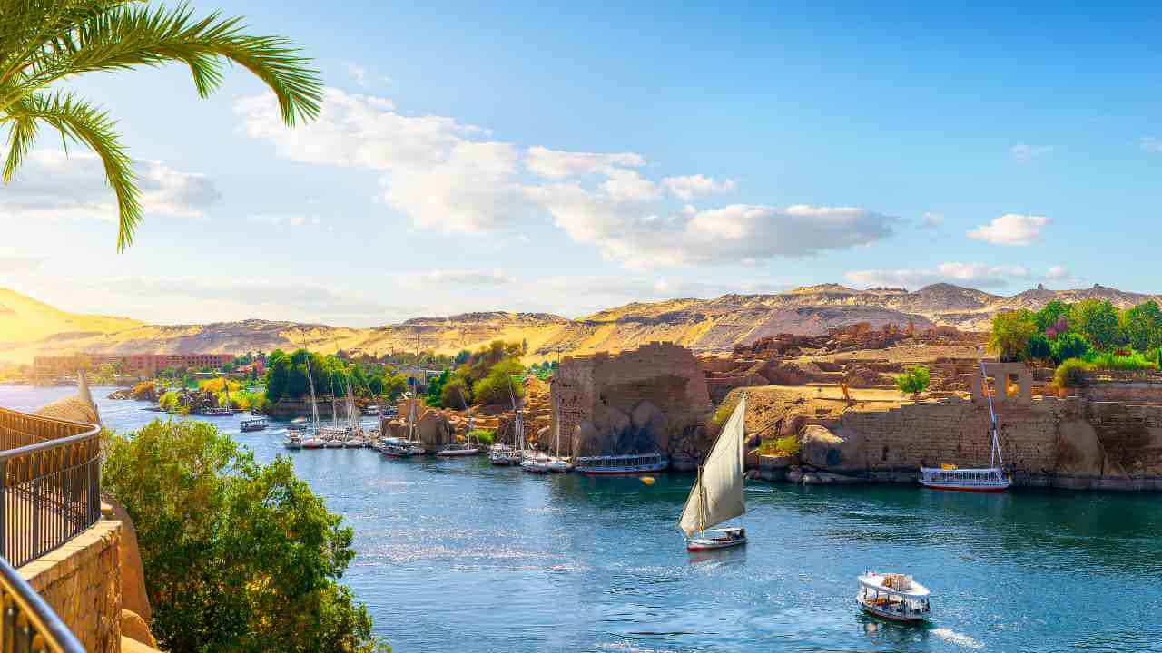 nile river in egypt - nile river stock pictures, royalty-free photos & images