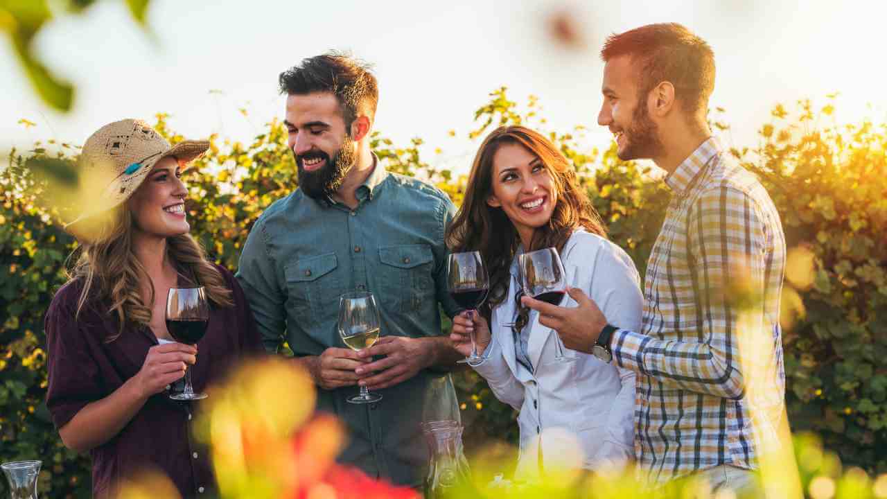 a group of friends enjoying a glass of wine in a vineyard