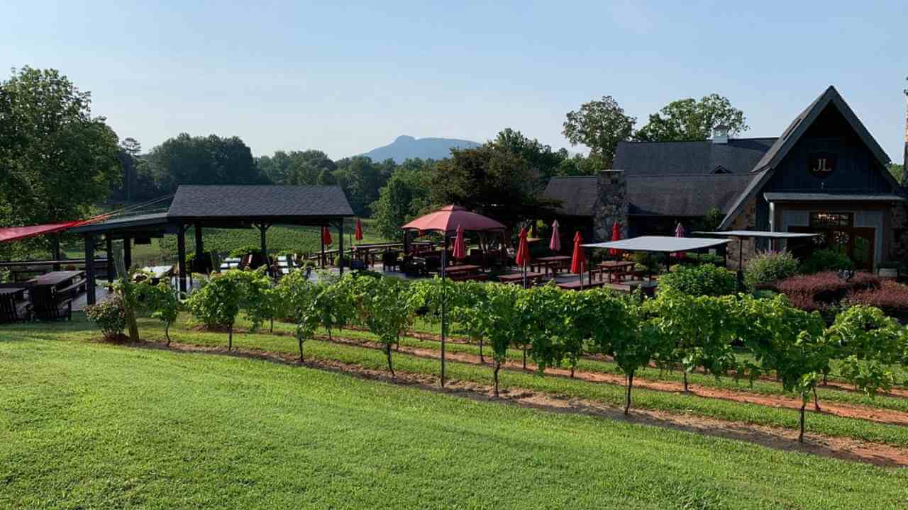 a view of a vineyard with a house in the background