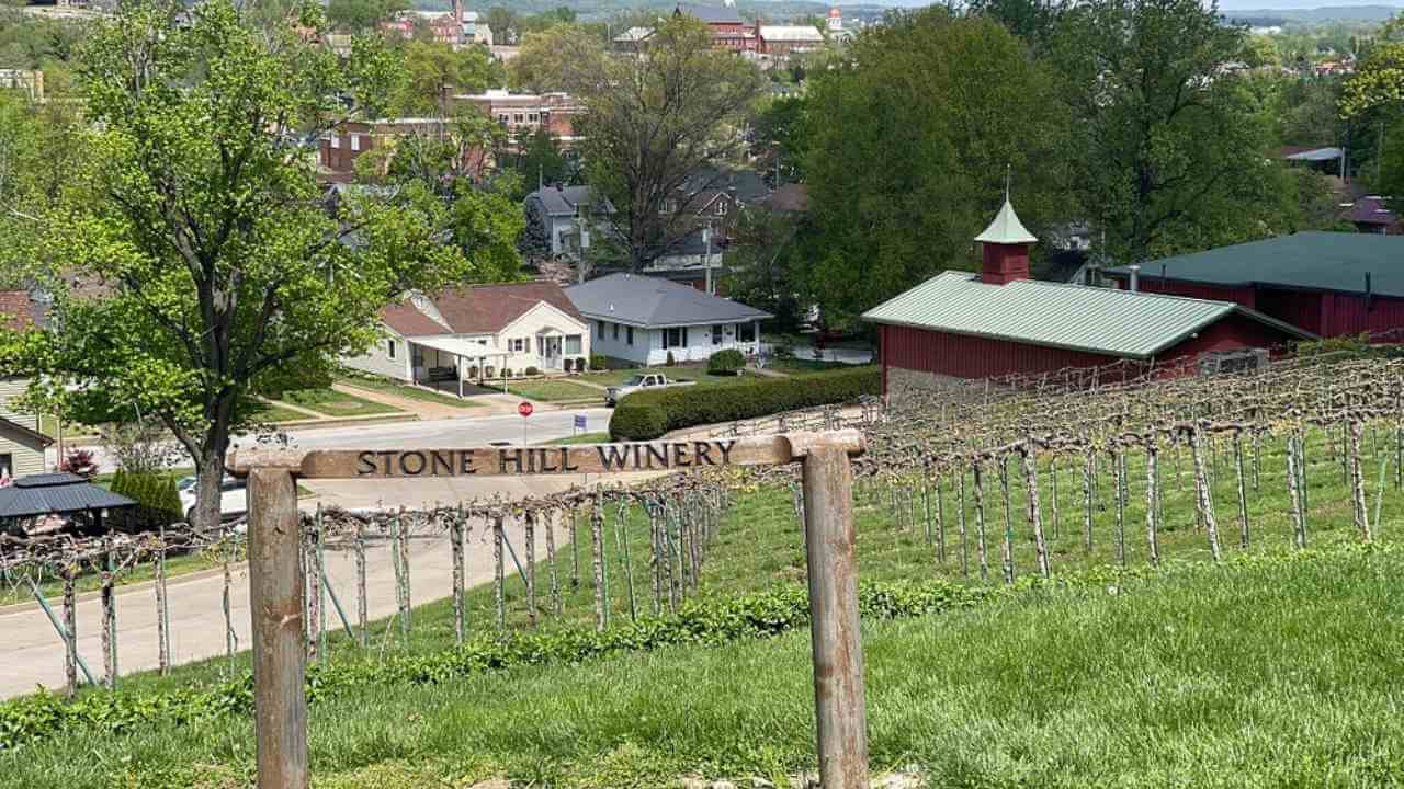 a vineyard sign in front of a hillside with a small town in the background