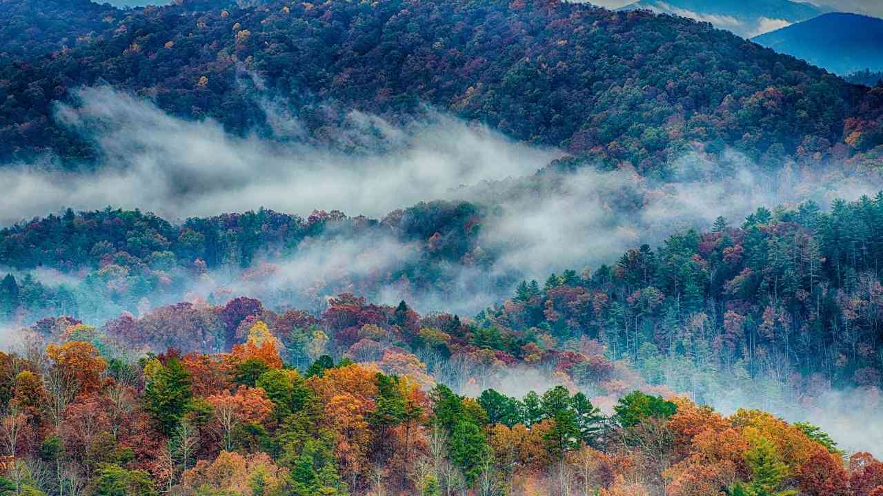 autumn in the great smoky mountains