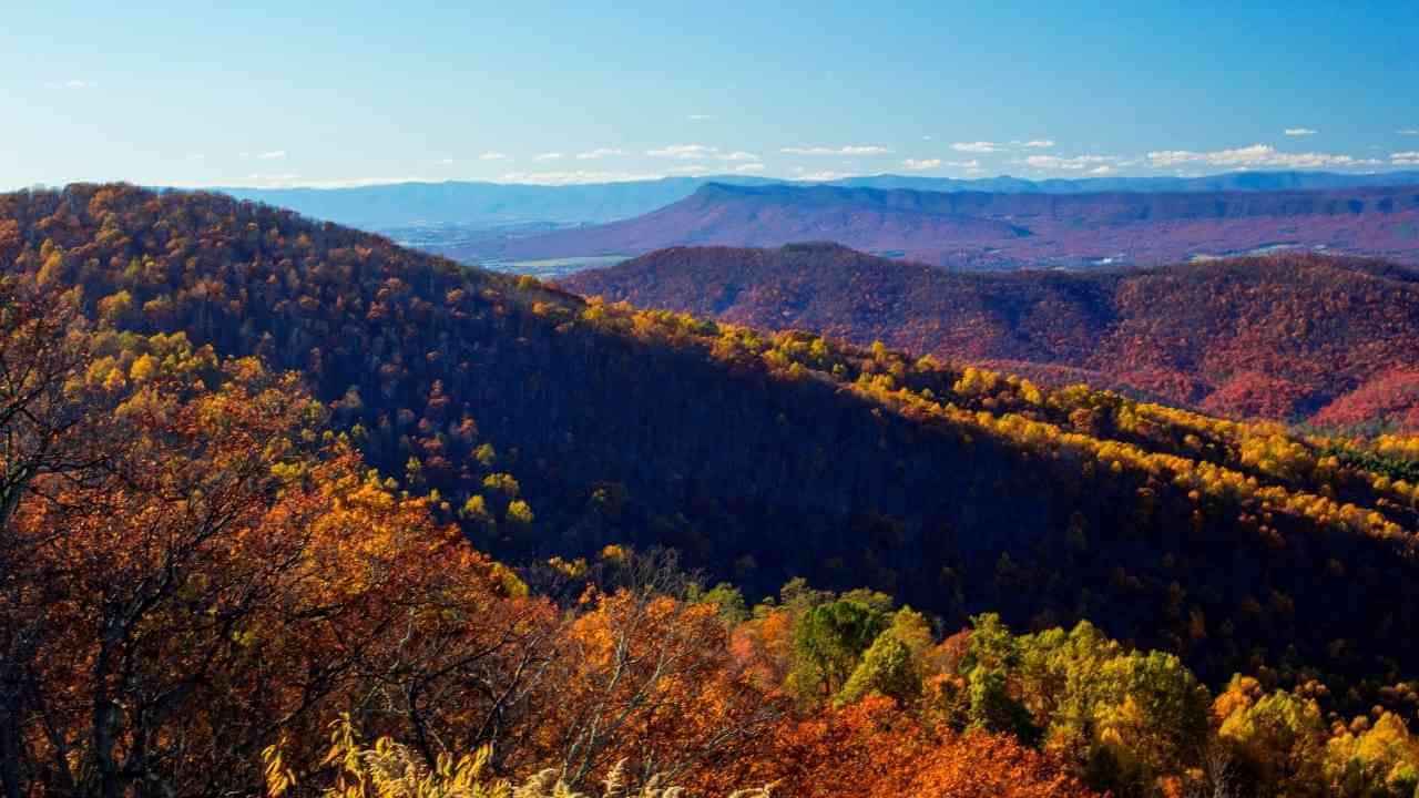 autumn colors on the mountains in the shenandoah national park