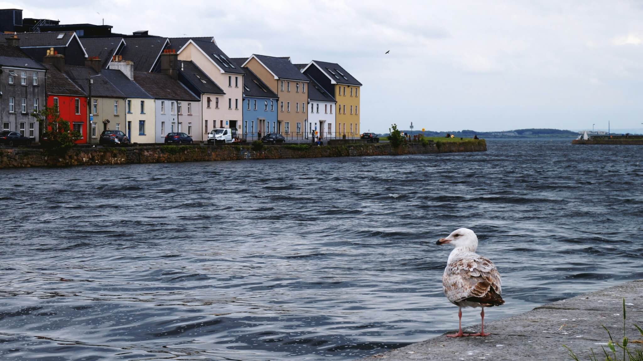 galway city