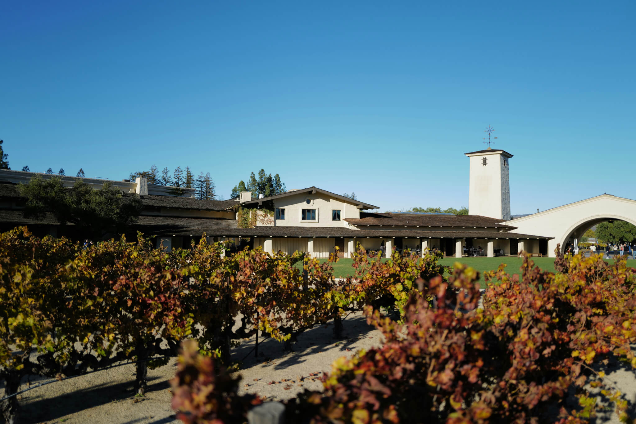 winery in napa valley