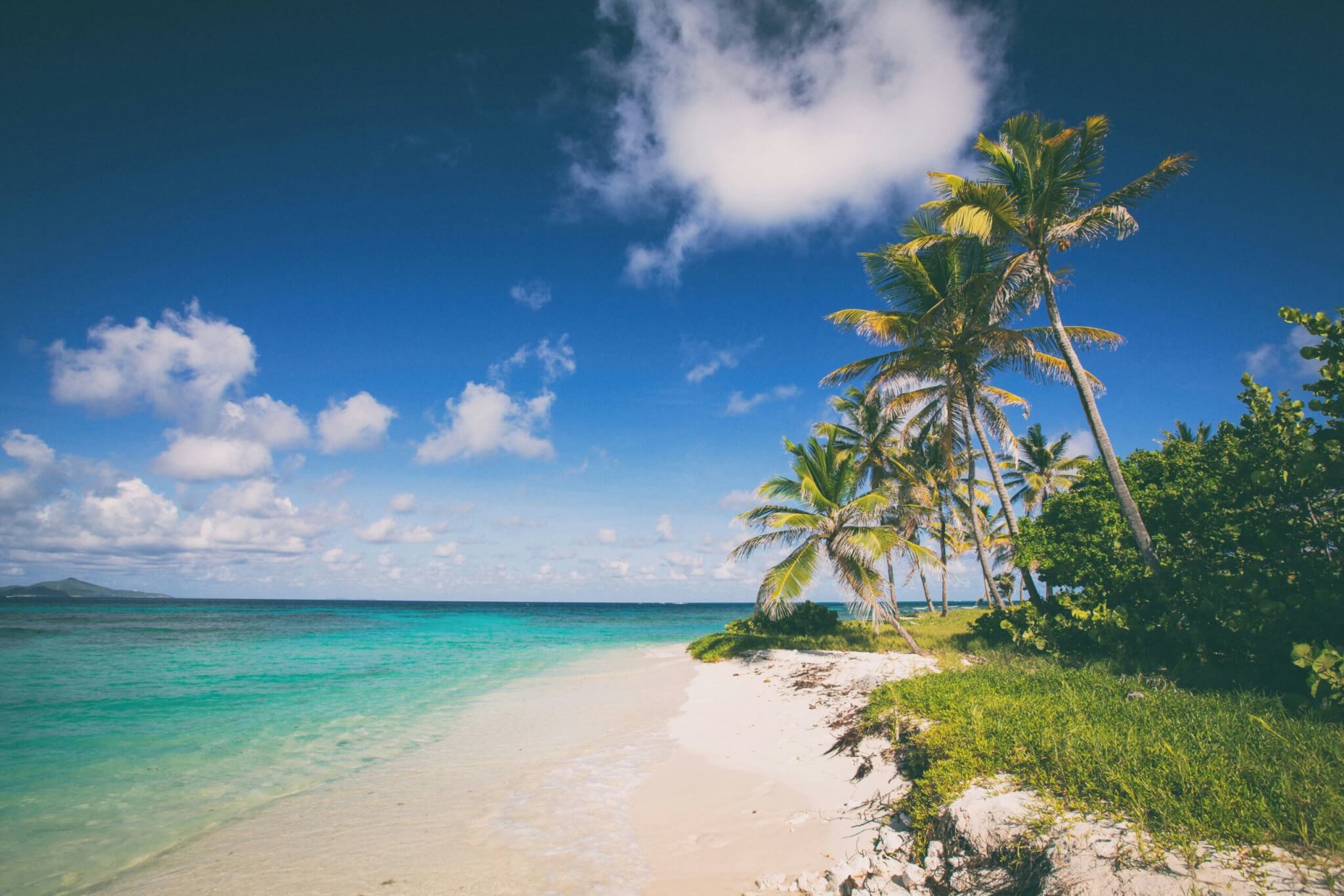 caribbean beach