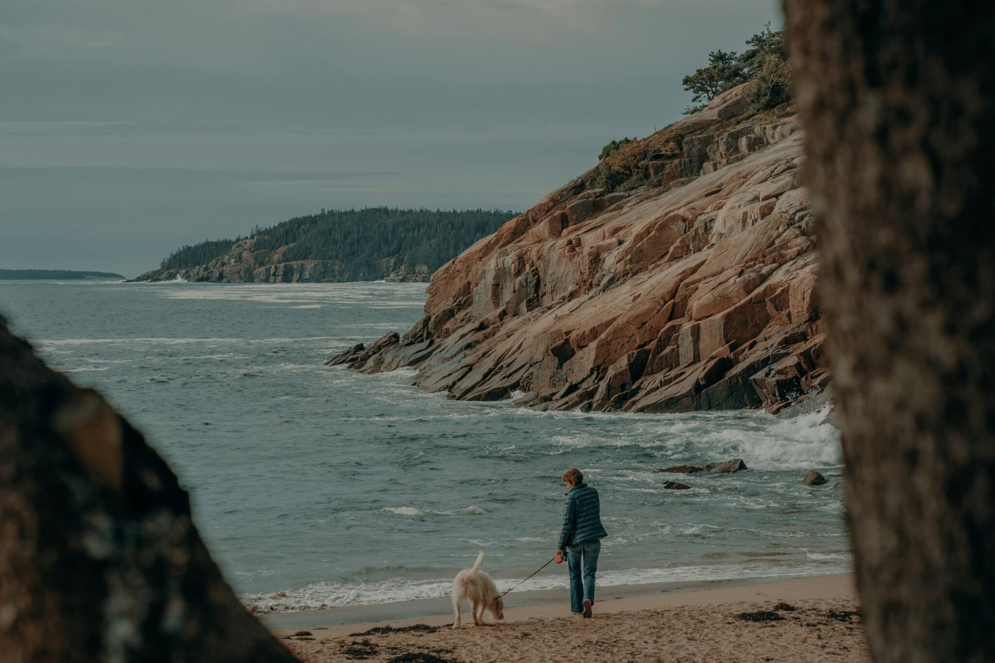 acadia national park