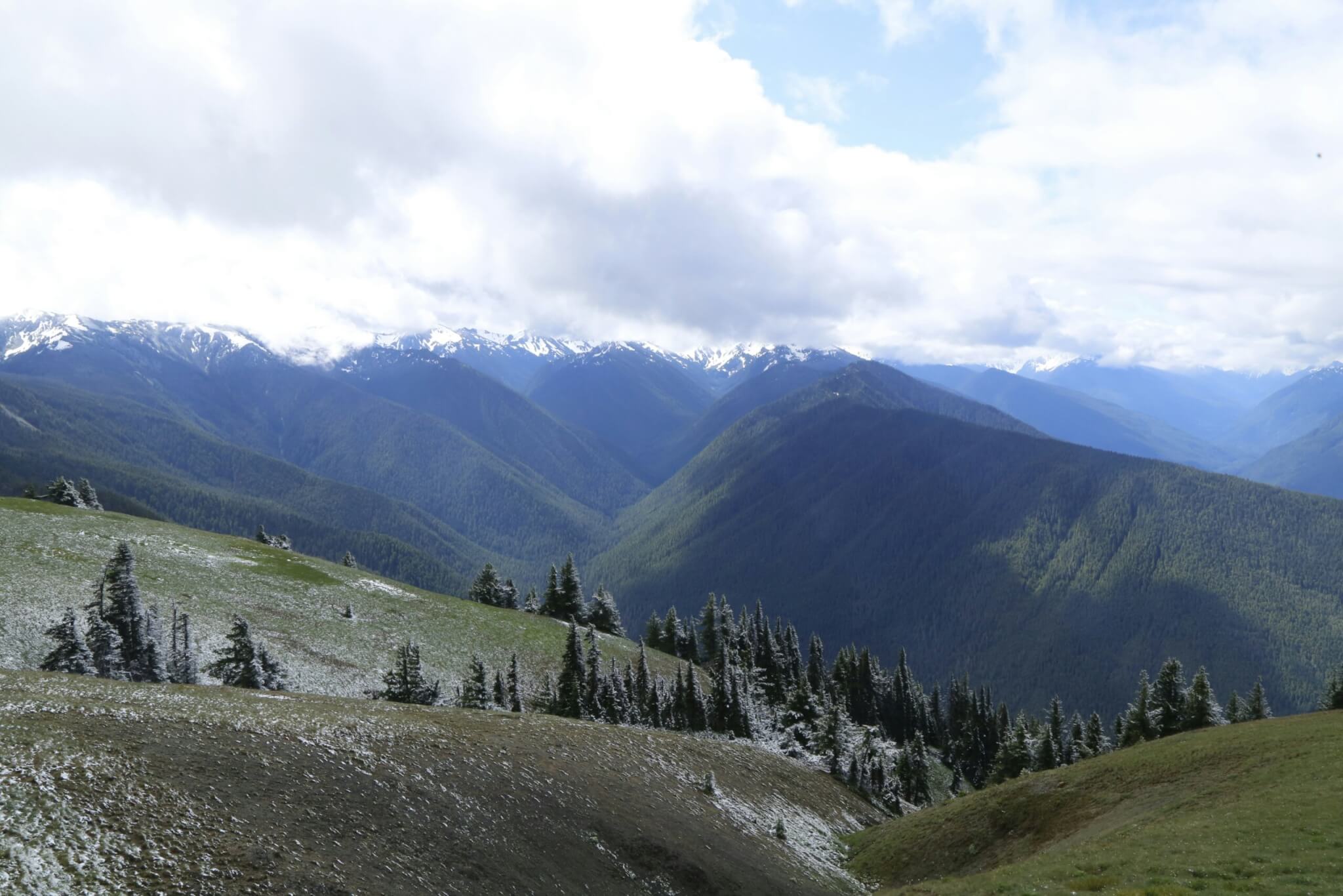 olympic national park