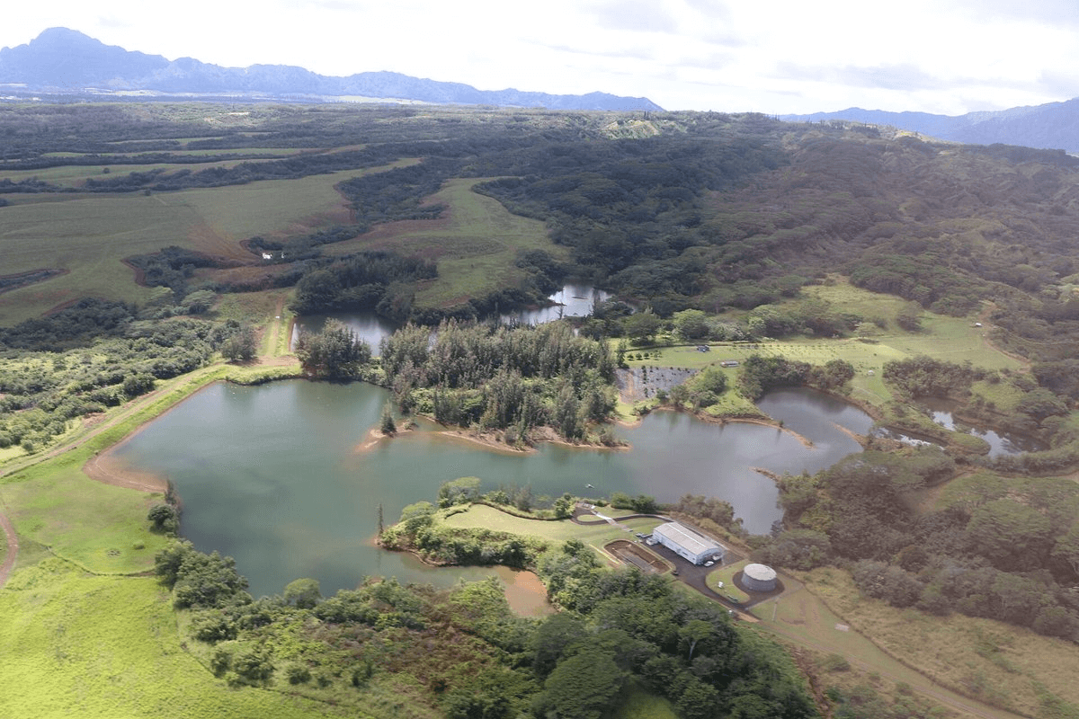 Jurassic Park set in Hawaii