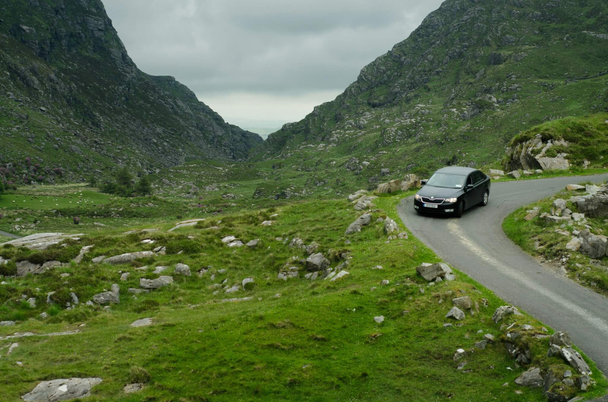 car on road