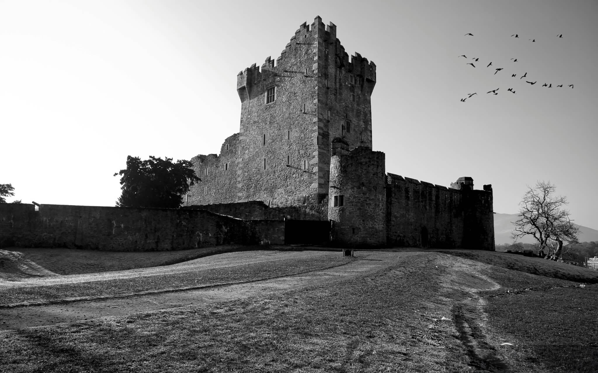 ross castle