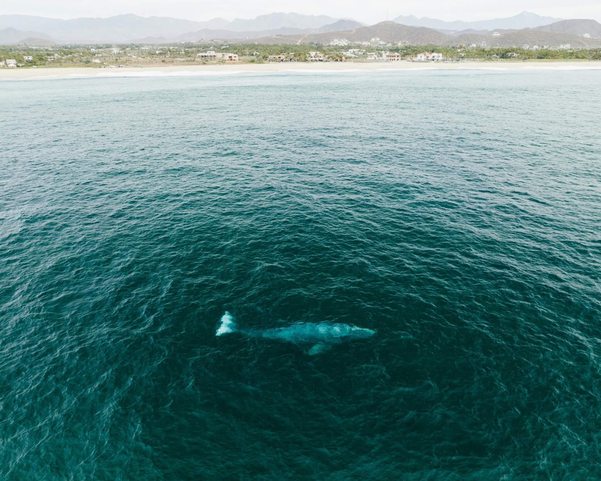 todos santos