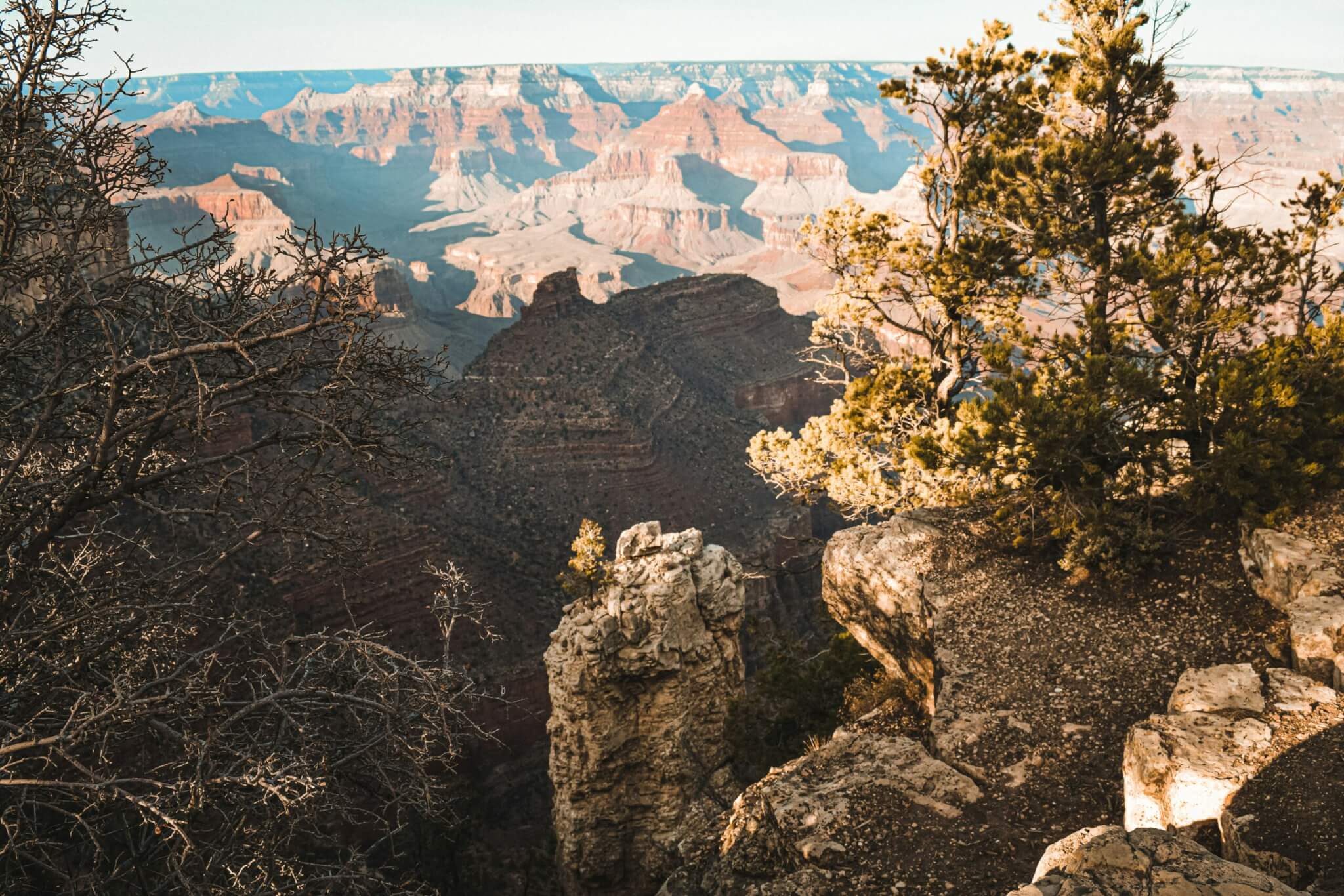 the grand canyon