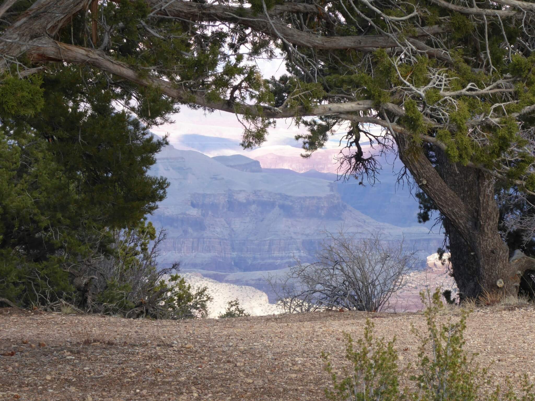 the grand canyon