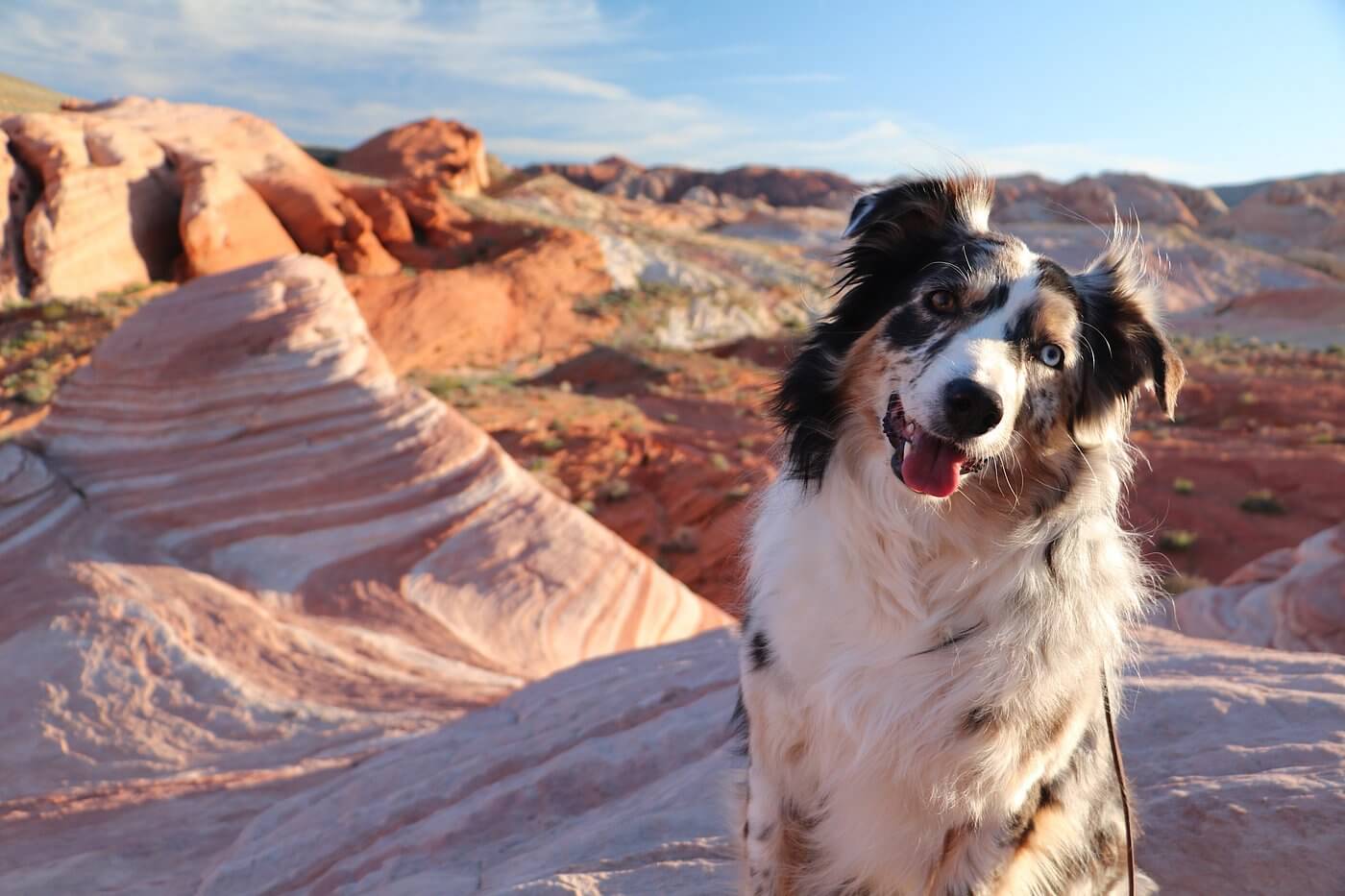 the valley of fire