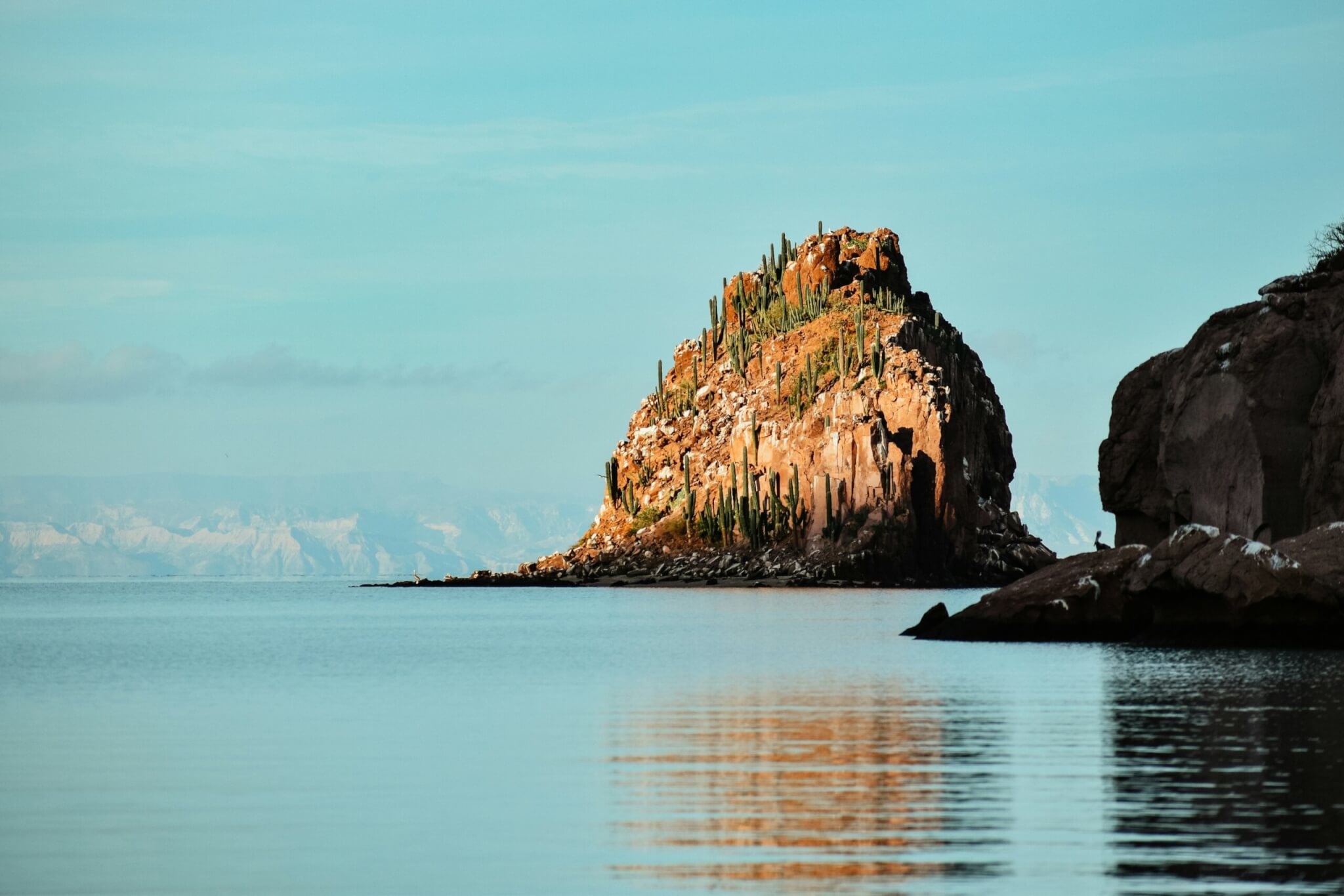 isla espiritu santo