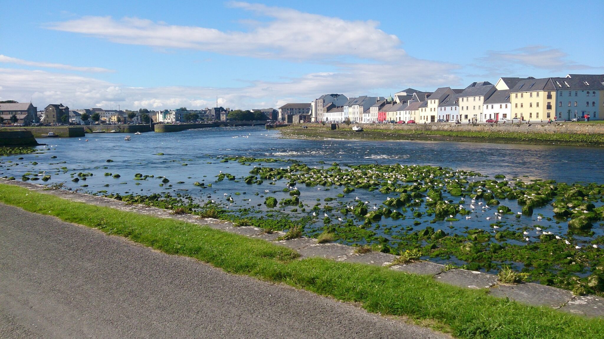 galway city