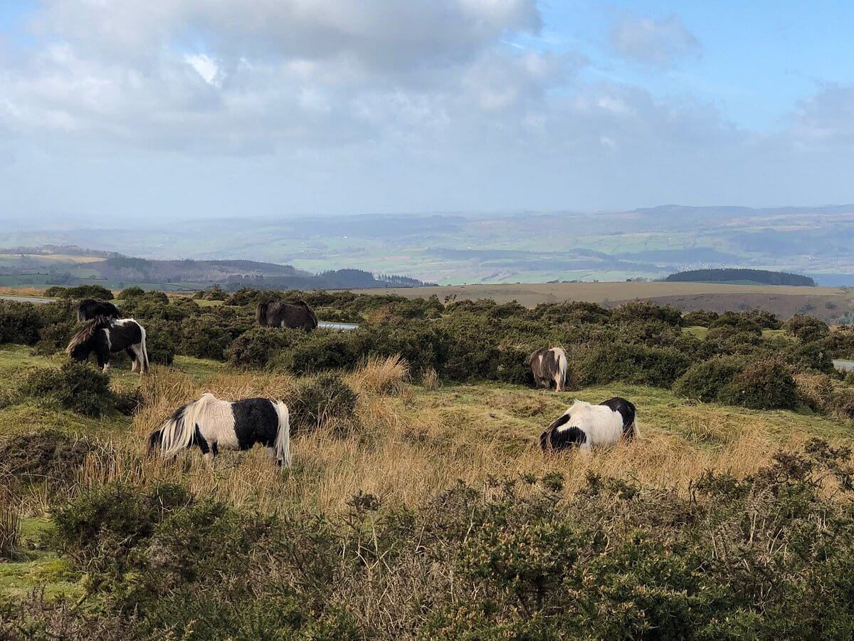 shropshire, england