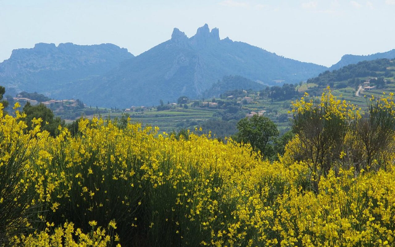 Saint-Rémy-de-Provence