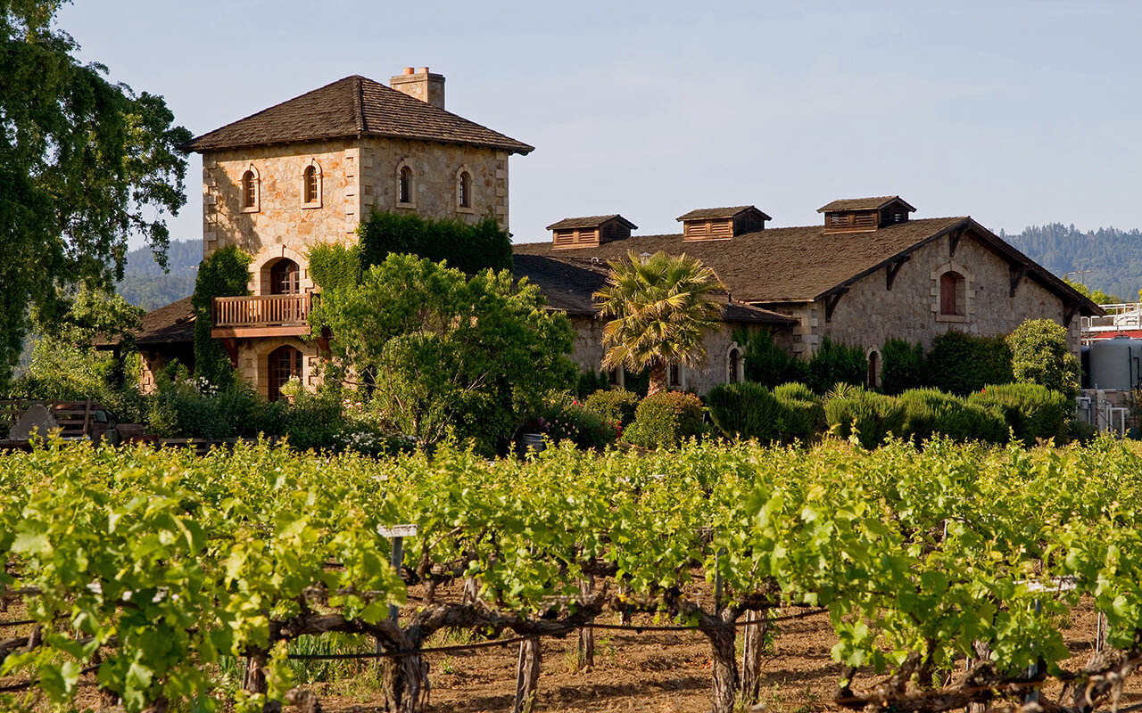 Napa Valley vineyard at sunset